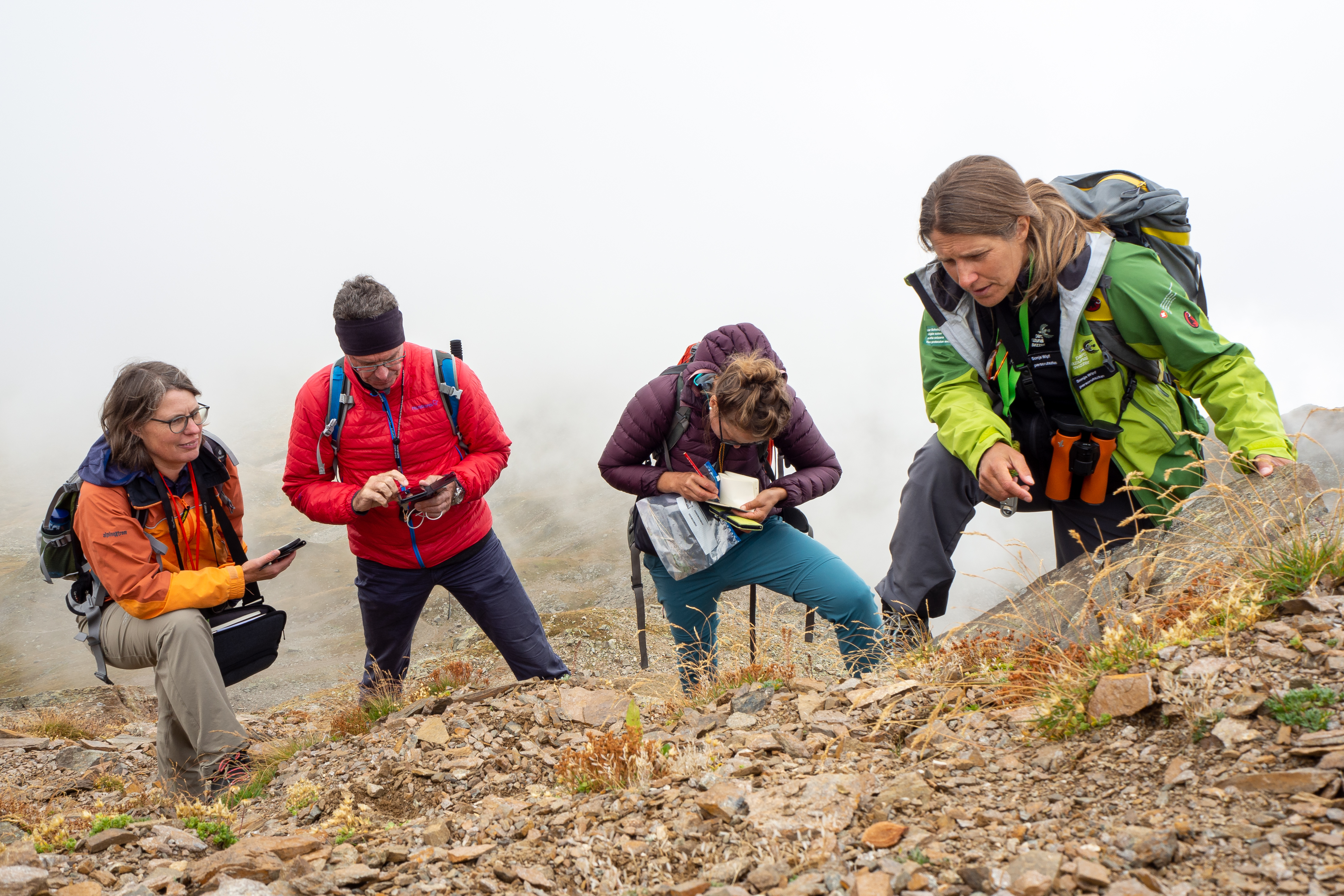 Exploring the flora on the Parpaner Rothorn. Photo: Anna-Barbara Utelli.