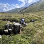 Inventarisieren im Blitzinventar, Kartierwochenende Flims/Laax 2025